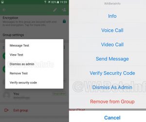 whatsapp group chat dismiss as admin