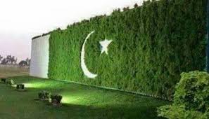 P.A. MCQs, Short Question Answers Green Pakistan - Pakistan Flag - Tech Urdu
