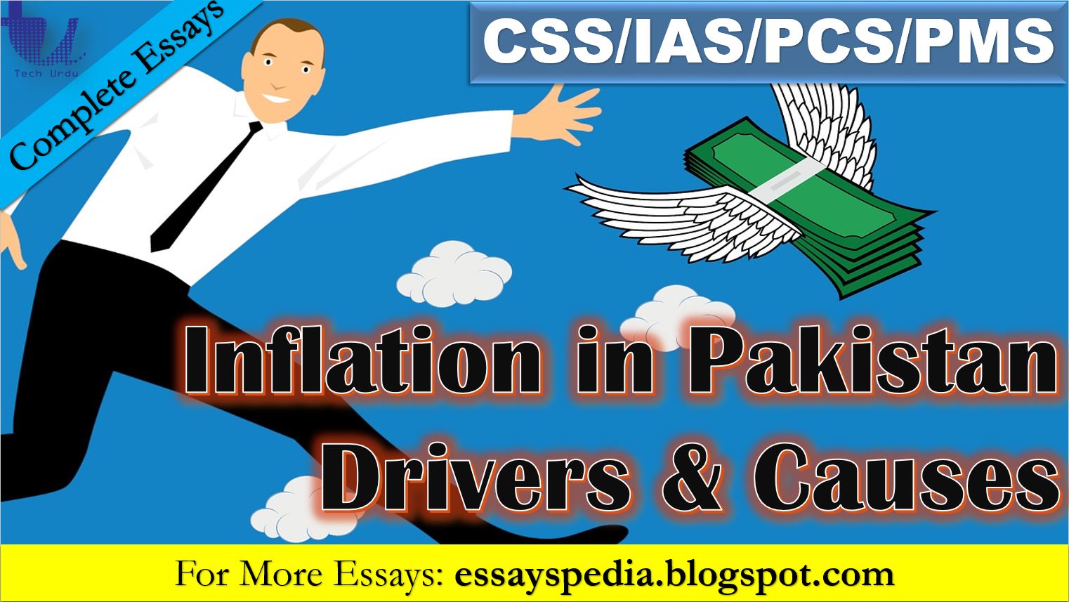 inflation essay in urdu