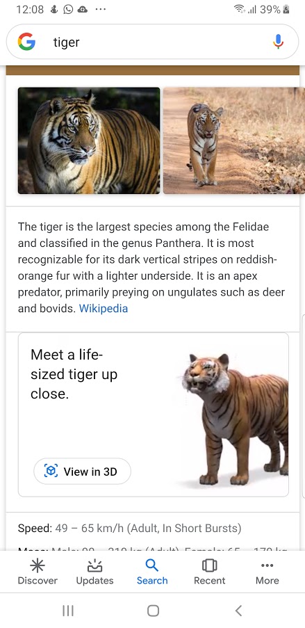 How To Look At Life-Sized Animals In AR Through Google Search? - Tech Urdu