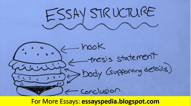 Essayspedia - Complete Essays List from Qualified Writers