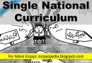 Single National Curriculum | Complete Essay with Outline - techurdu.net