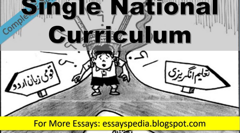 Single National Curriculum | Complete Essay with Outline - techurdu.net