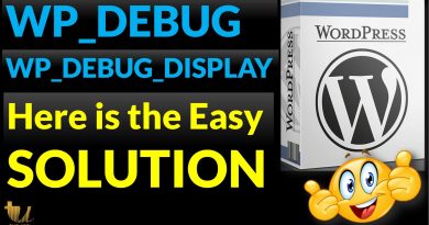 How to solve WP_DEBUG and WP_DEBUG_DISPLAY Errors in WordPress